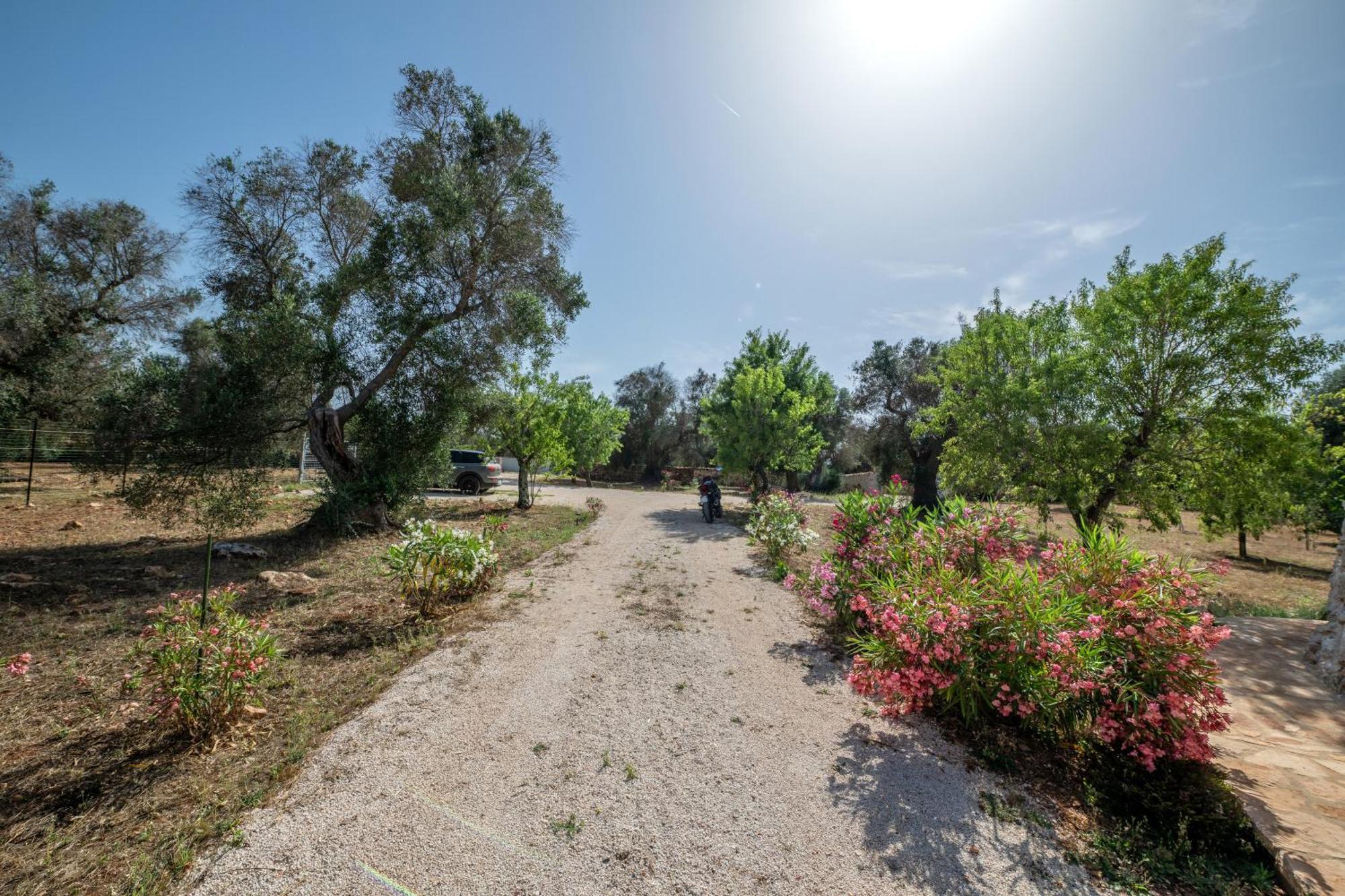 Il Trullo Di Mariangela Villa Ceglie Messapica Exteriör bild